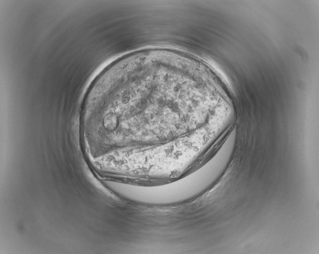 X0000114651100200911171045