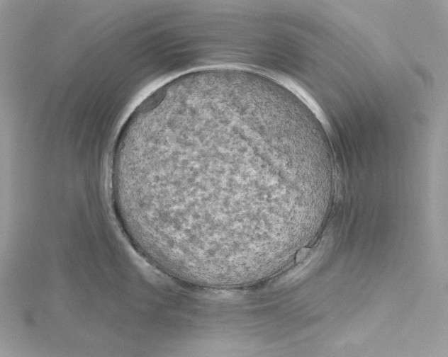 X0000114651101200911171045