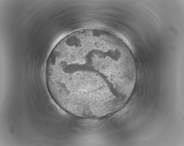 X0000114651103200911171045