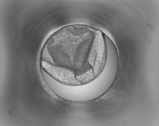 X0000114651104200911171045