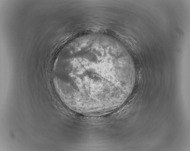 X0000114651105200911171044