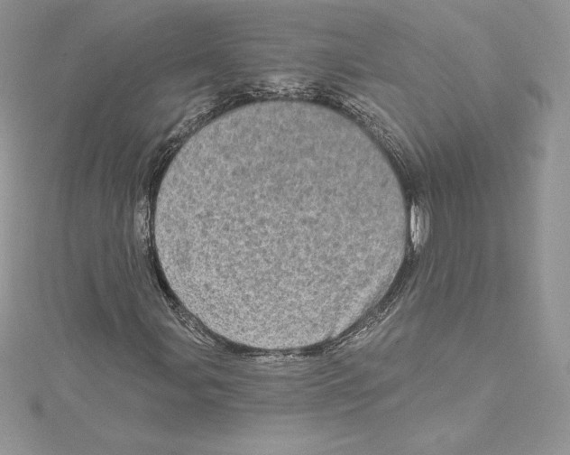 X0000114651107200911171044