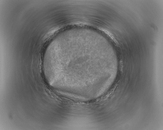 X0000114651111200911171044