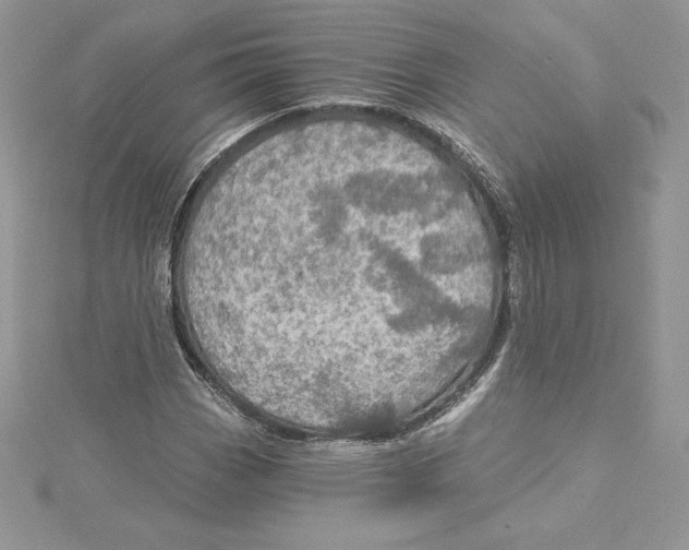 X0000114651113200911171044