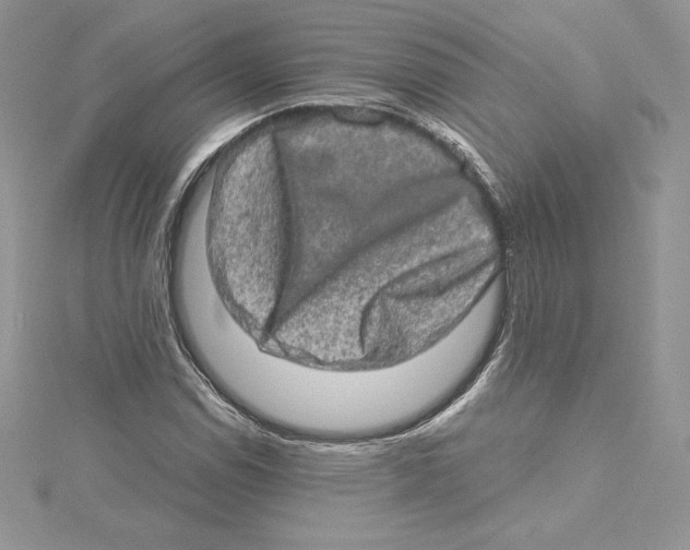 X0000114651114200911171044