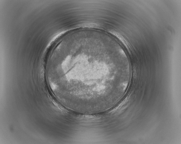 X0000114651115200911171044