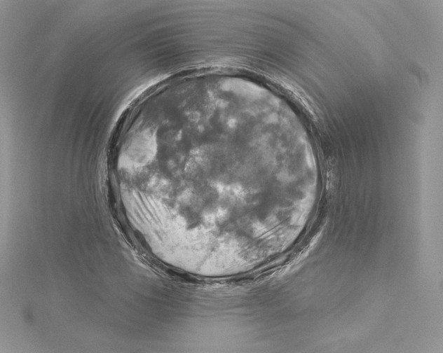 X0000114651117200911171044