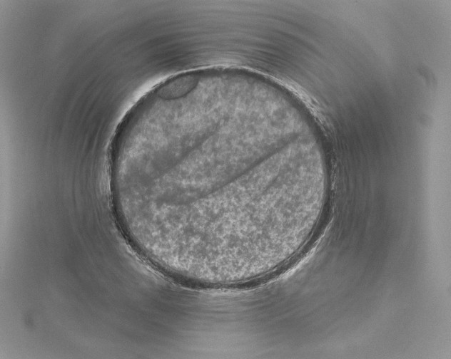 X0000114651118200911171044