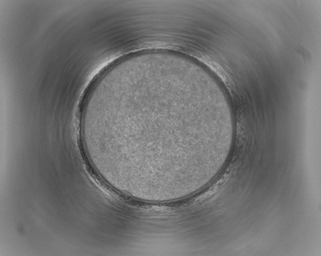 X0000114651119200911171044