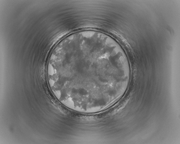 X0000114651121200911171044