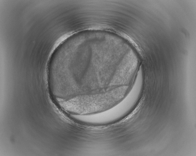 X0000114651122200911171044