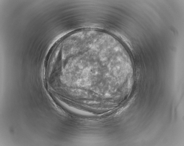 X0000114651125200911171045