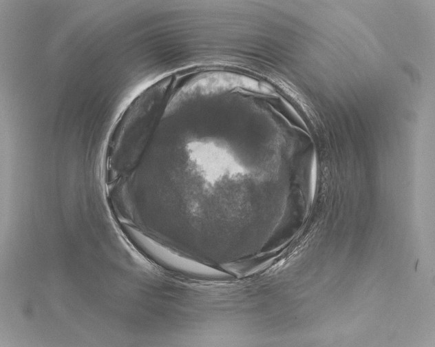 X0000114651127200911171045