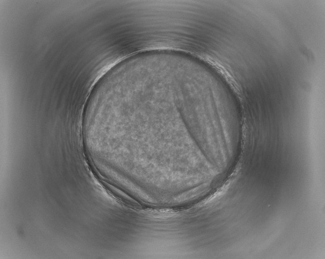 X0000114651129200911171045