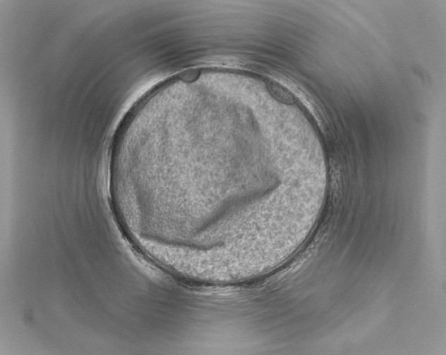 X0000114651131200911171045