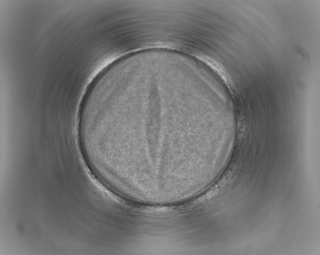 X0000114651135200911171045