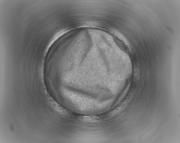 X0000114651138200911171045