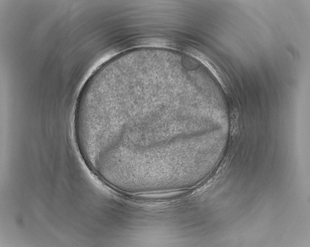 X0000114651139200911171045