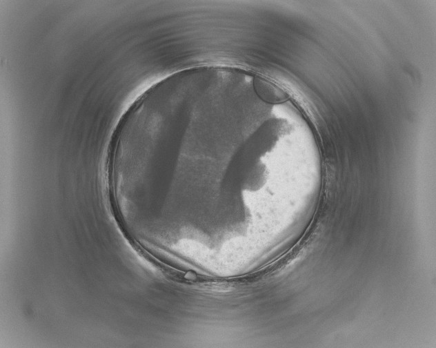 X0000114651141200911171045