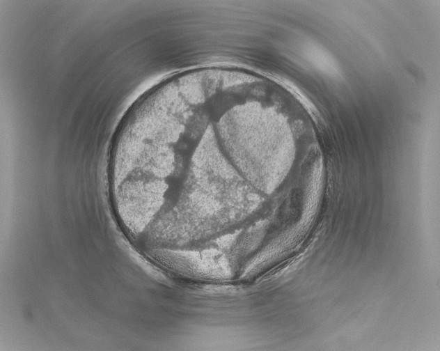 X0000114651142200911171045