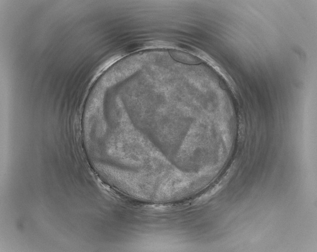 X0000114651145200911171045