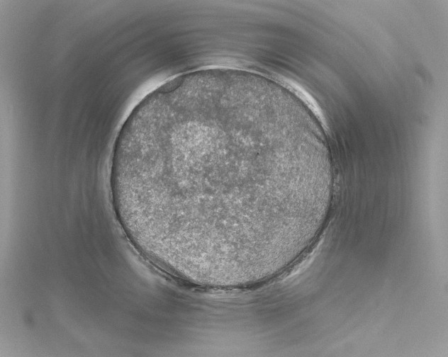 X0000114651146200911171045