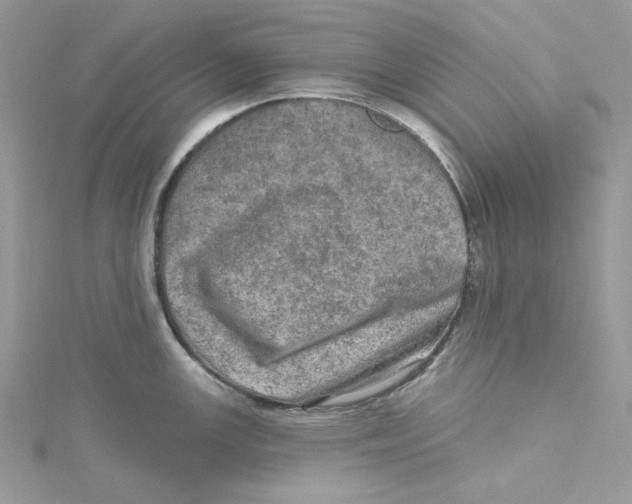 X0000114651147200911171045