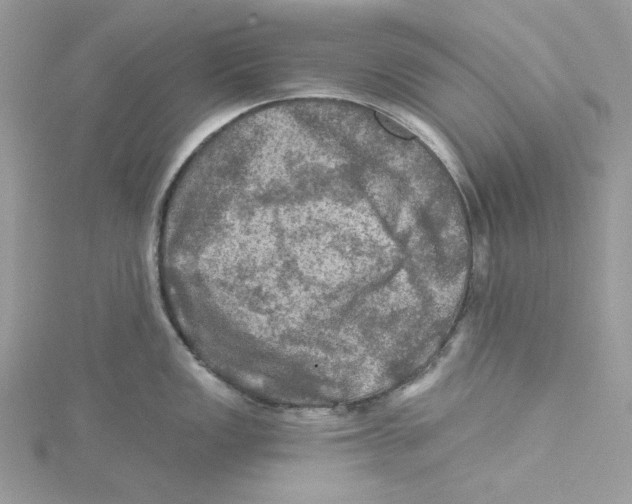 X0000114651149200911171045