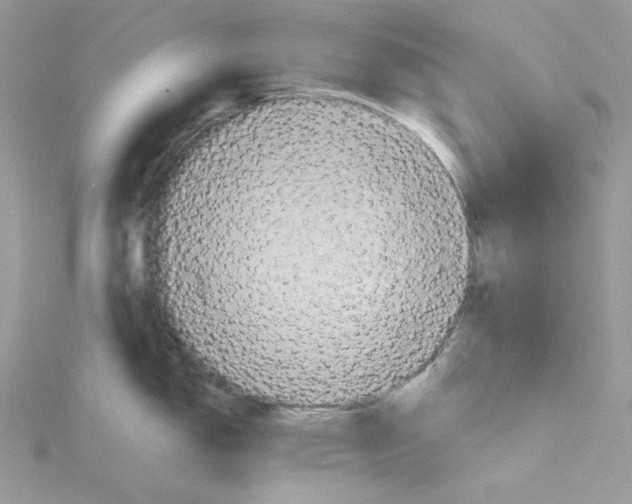 X0000114651150200911171045