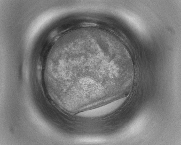 X0000114651151200911171045