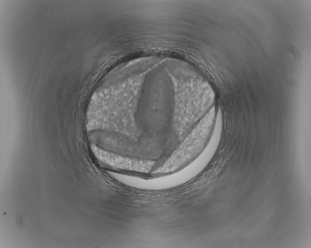 X0000114651153200911171044