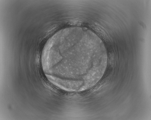 X0000114651154200911171044