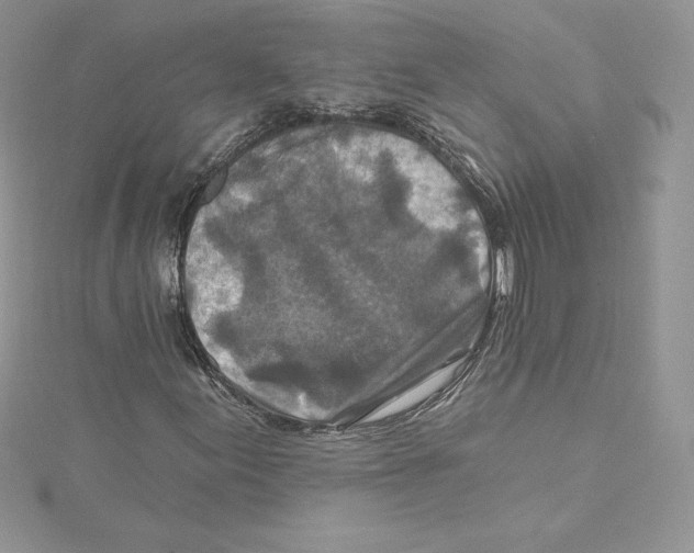 X0000114651155200911171044