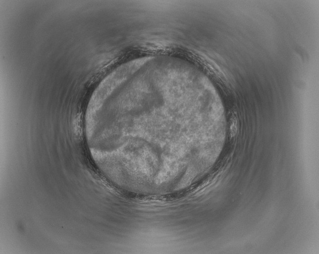 X0000114651156200911171044