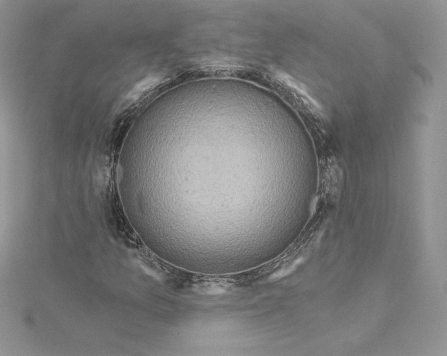 X0000114651157200911171044