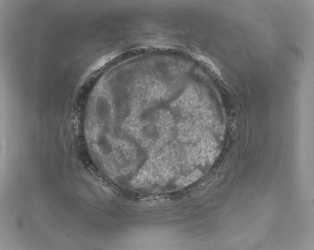 X0000114651159200911171044