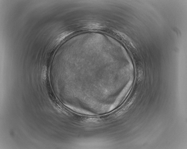 X0000114651161200911171044