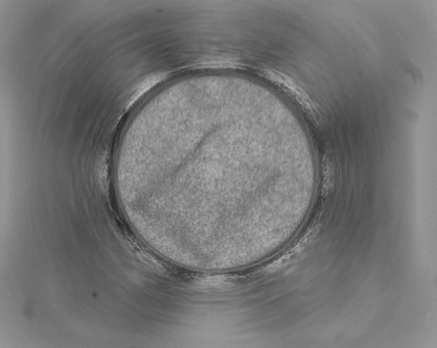 X0000114651162200911171044