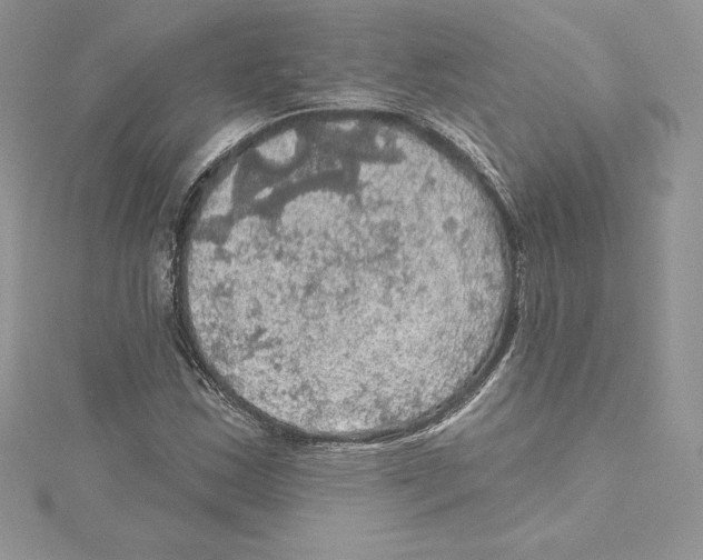 X0000114651163200911171044