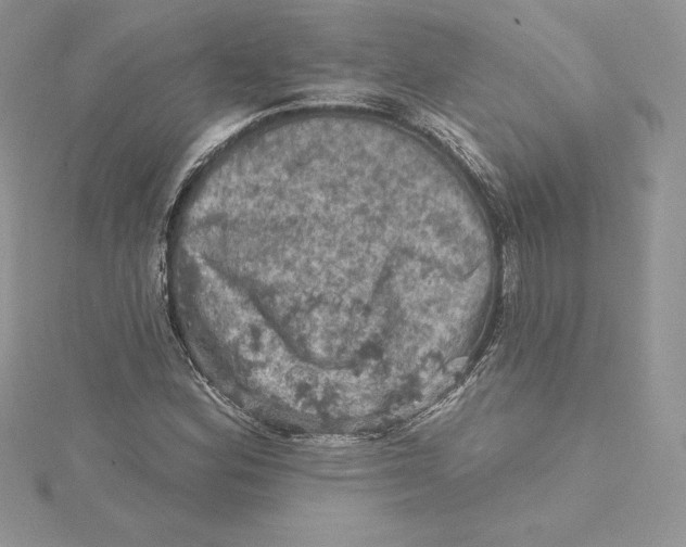 X0000114651164200911171044