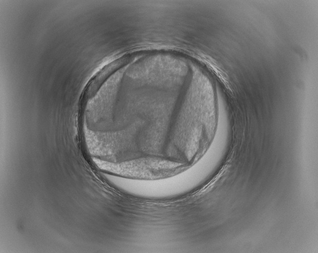 X0000114651165200911171044