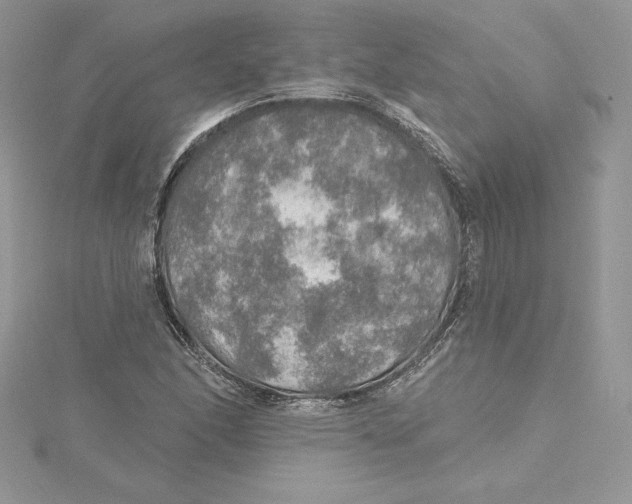 X0000114651166200911171044