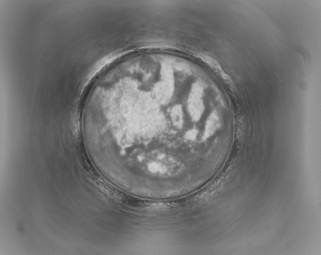 X0000114651167200911171044