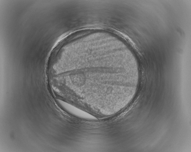 X0000114651168200911171044