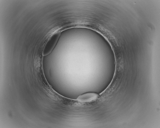 X0000114651169200911171044