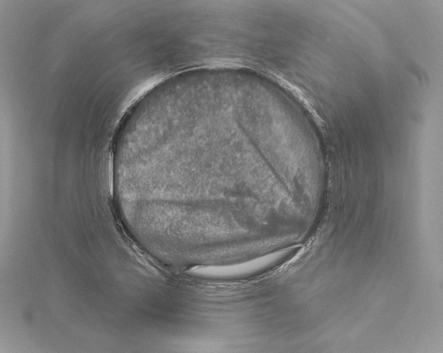 X0000114651171200911171044