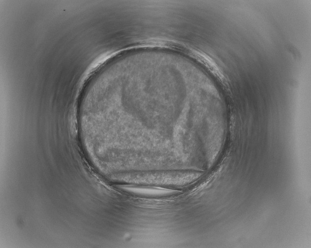 X0000114651172200911171044