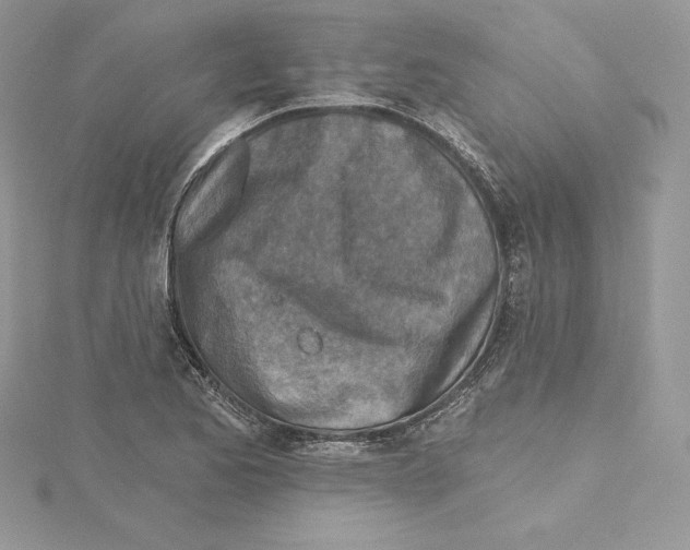 X0000114651173200911171044