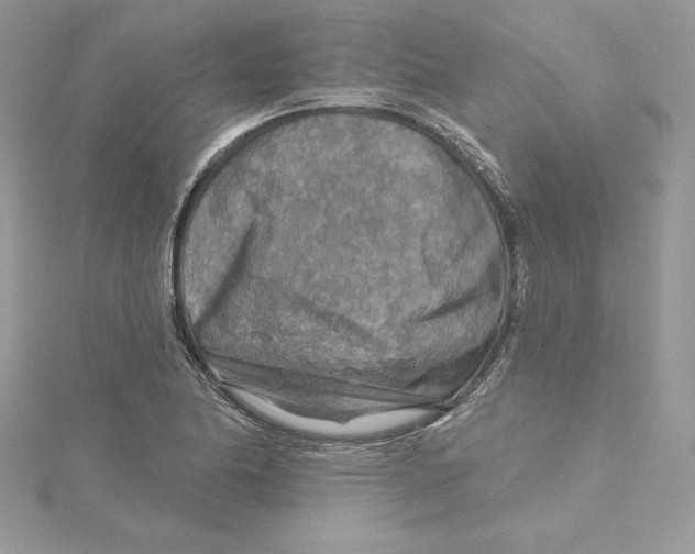 X0000114651174200911171044