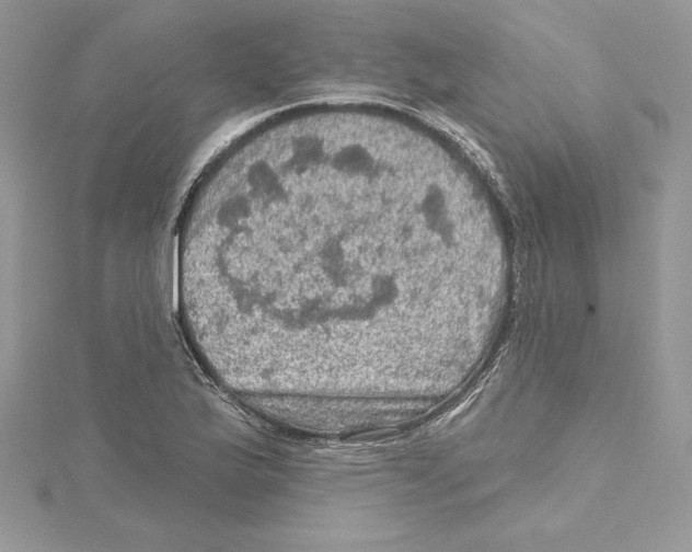 X0000114651175200911171044